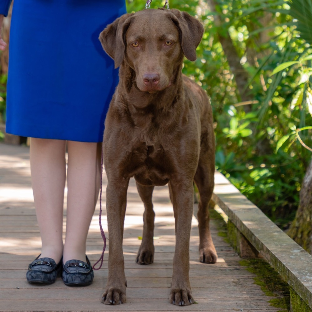 Meet your Posher, Jessica